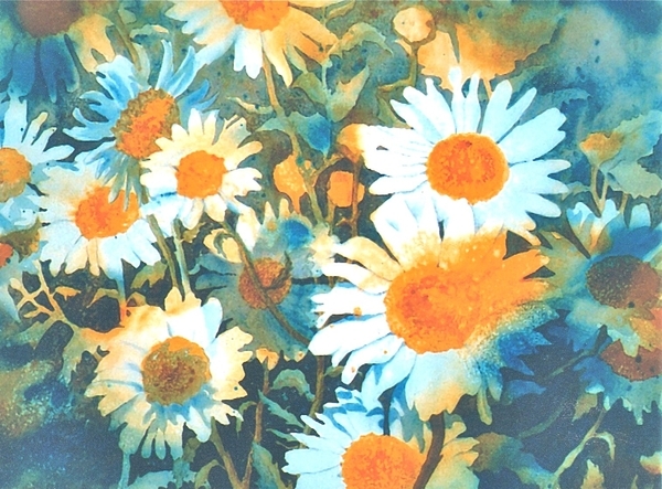 "Daisy Delight"